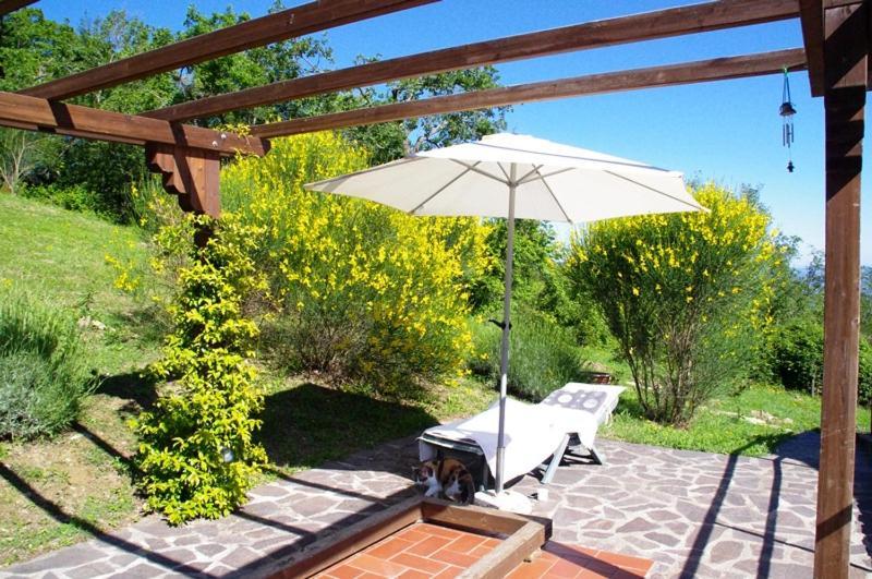 B&B Harem Arcidosso Exterior foto