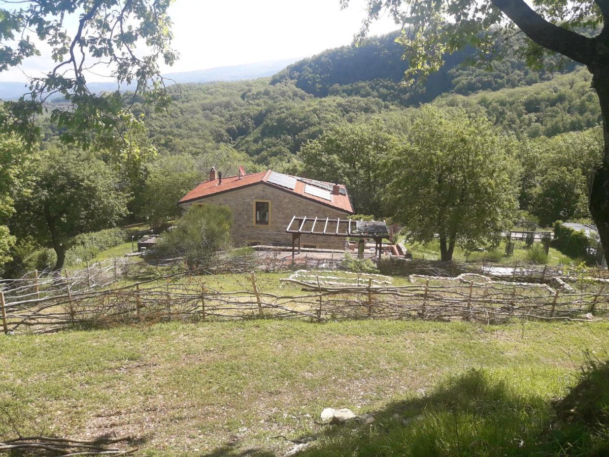 B&B Harem Arcidosso Exterior foto